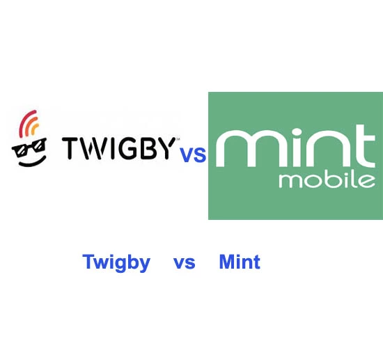 Twigby vs Mint